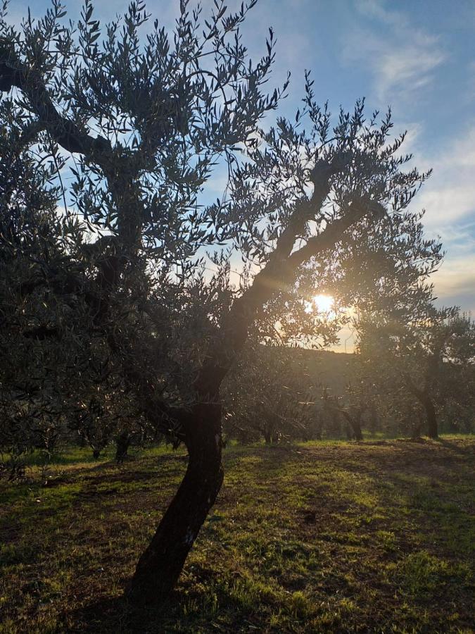 Rocca Massima Casale Dei Priori Bed & Breakfast エクステリア 写真